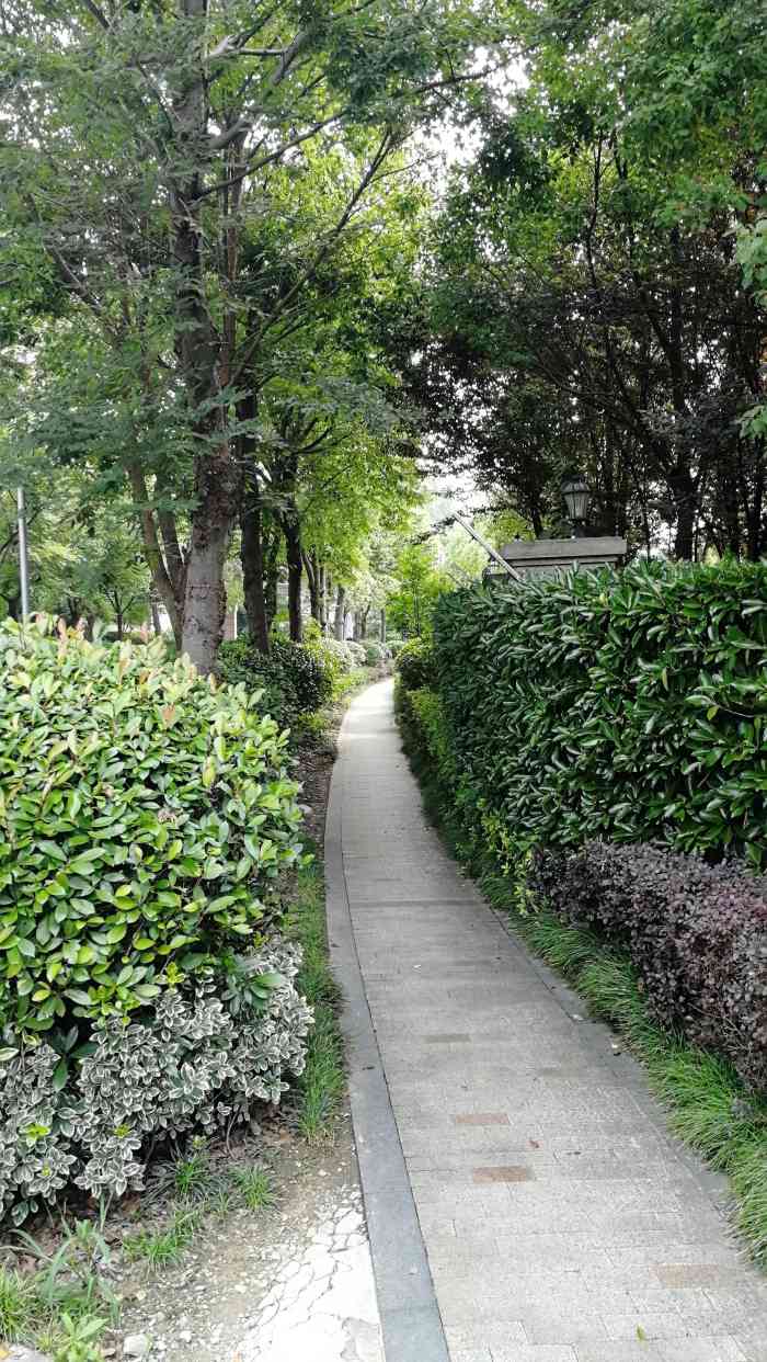 朗庭上郡·虹郡-"在松江和青浦交界的欧式别墅区,以独幢和双.