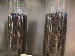 -喜茶(深圳福田星河COCO Park店)