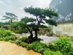 -罗红摄影艺术馆