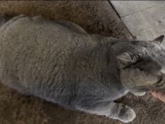 -金轮星光名座生活广场