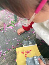 -奈尔宝·儿童乐园·亲子餐厅(华采天地店)