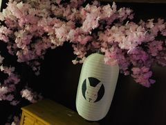 -白兔子密室(长寿路店)