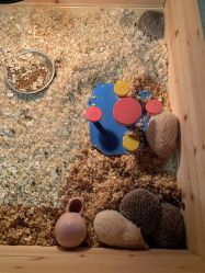 -酷嗒动物文化乐园(cutezoo西溪乐天城店)