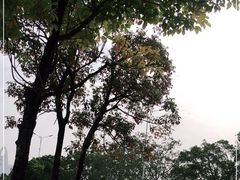 -海心沙亚运公园