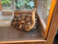 -上海大自然野生昆虫馆