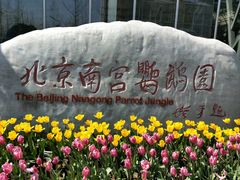 -南宫温泉水世界