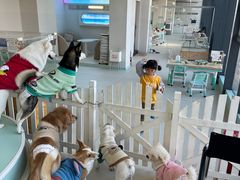 -怪兽屋·羊驼·猫咖·狗咖(俊华广场店)