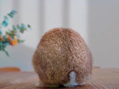 -邊渡咖啡