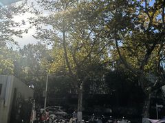 -中国医学科学院皮肤病医院