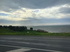 -企鹅岛