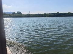 -长兴太湖图影湿地文化园
