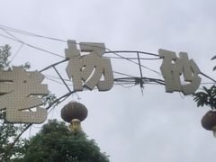 -老杨砂锅鱼庄