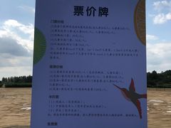 -莲花山花海