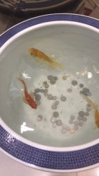 -唐荣护肤造型