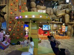 -卡通尼·Safari非洲探索乐园·生日会(金桥国际商业广场店)