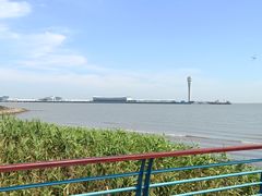 -上海吴淞炮台湾国家湿地公园