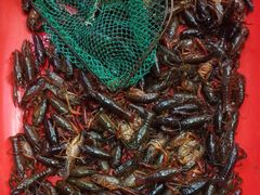 -老北京涮羊肉·龙虾.烧烤(江镇店)