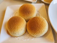 雪顶雄峰-利苑酒家(金宝店)
