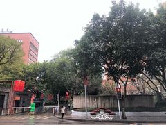 -梯坎豆花