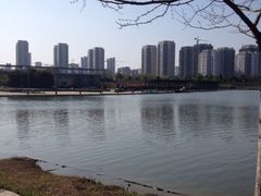 iphone_upload_pic-白塘生态植物园