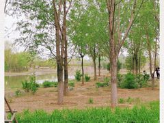 -东郊湿地公园