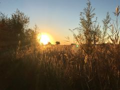 -亿利库布其七星湖沙漠生态旅游区