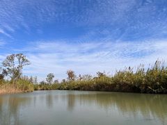 -泗洪洪泽湖湿地景区