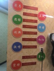 -伊人美容SPA养生馆