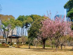 -后襄河公园