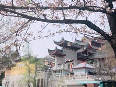 -伊人锅·魔石泡泡鱼