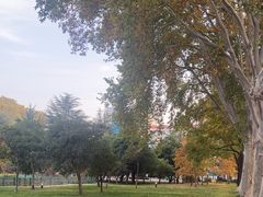 -河南省黄河迎宾馆