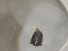 -九忠祥小笼馆(保利时光里店)