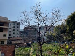 -竹庄餐馆·26年店(南昆山景区店)