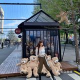 深圳拍照探店｜首发🧸60只泰迪熊来袭啦！