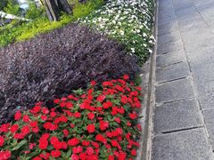 -云禾壹海景庄园餐厅