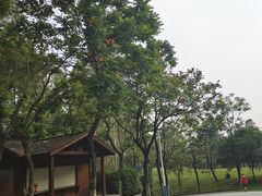 -火炉山森林公园