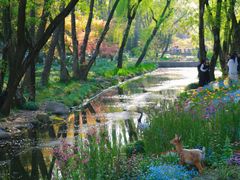 -上海共青森林公园