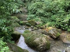 -青城山