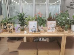 点击看大图 -dōTERRA多特瑞精油生活馆