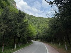 -少华山国家森林公园