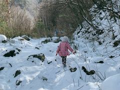 -秦岭风景区