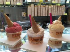 -Gelateria Dondoli