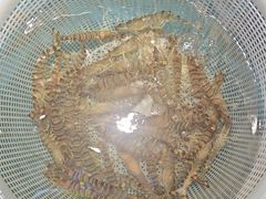 -隐厨·海鲜餐厅(恒通路店)