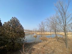 -野鸭湖国家湿地公园