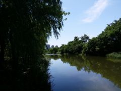 -新江湾城公园