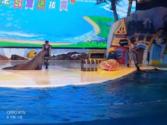 -三亚海昌梦幻海洋不夜城