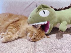 -藏猫猫咖啡主题馆(中央大道店)