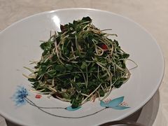 -丝宴·凤城印象·西北特色菜(彩虹湾店)
