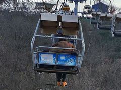 -富斯特索道