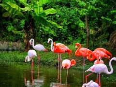 -大连森林动物园